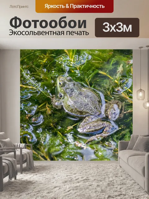 Фотообои Зеленая лягушка