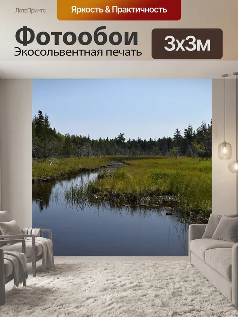 Фотообои Болото
