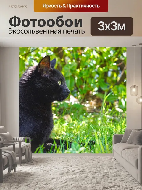 Фотообои Кошка