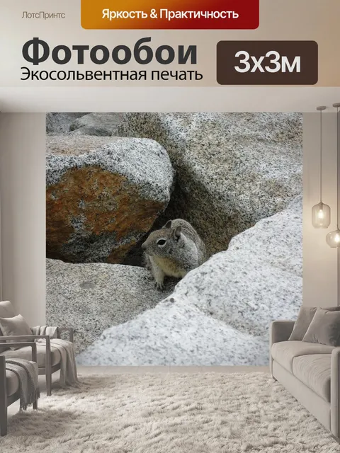 Фотообои Белка
