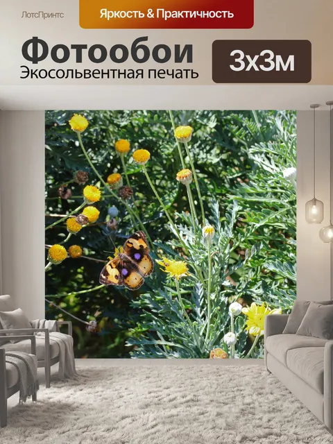 Фотообои бабочка анютины глазки с пурпурными пятн