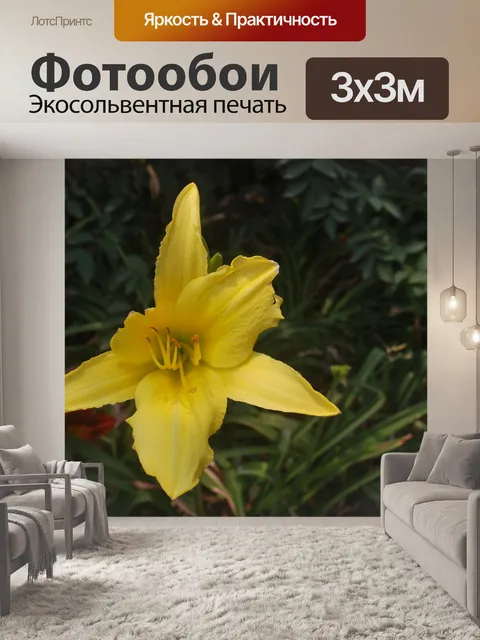 Фотообои Желтая лилия