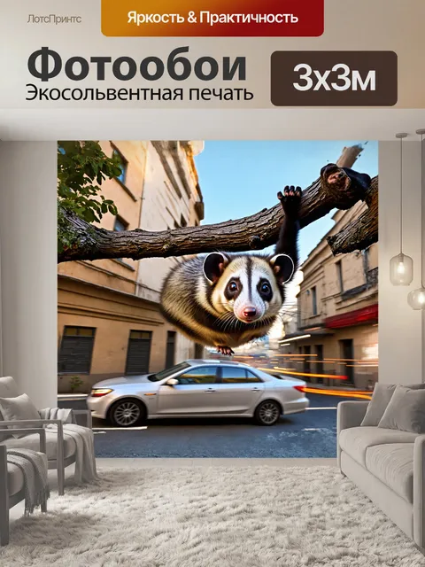 Фотообои опоссум с любопытным взглядом свисает с ветки, его мех фактурный и яркий на фоне городской среды