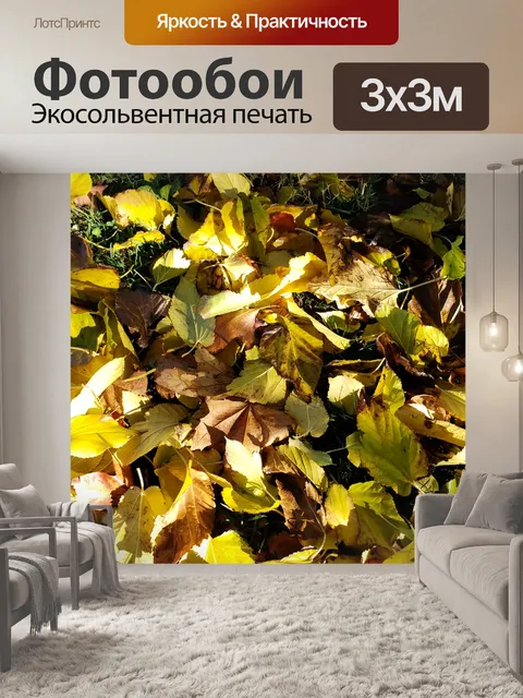 Фотообои Влажные листья на земле