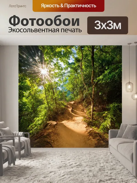 Фотообои тропические тропы, укрытые деревьями, солнечные лучи пробиваются сквозь листву, восхождение на вершину…