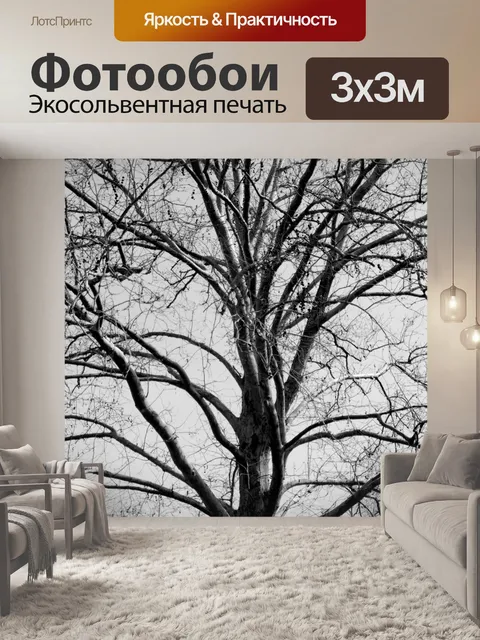 Фотообои Страшное черно-белое дерево