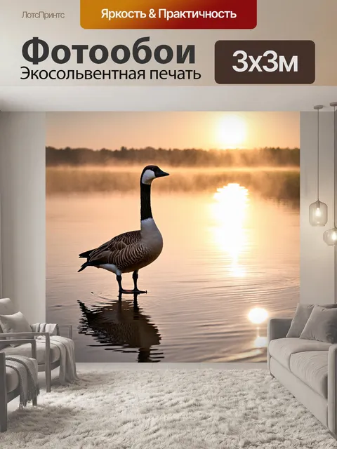 Фотообои гусак, стоящий на берегу озера, утренний туман окутывает его, яркое солнце всходит на горизонте, отражаясь в…