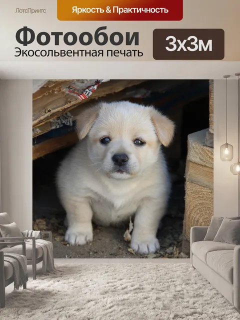 Фотообои Щенок