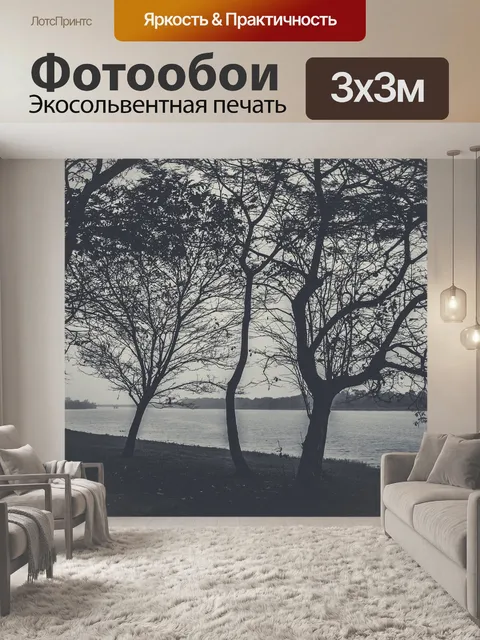 Фотообои Деревья