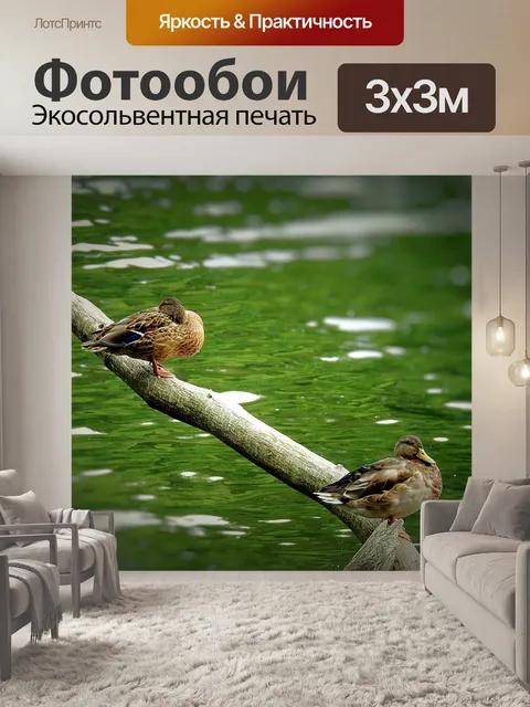 Фотообои Утки