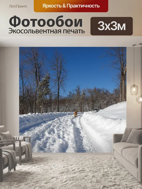 Фотообои Зимняя страна чудес