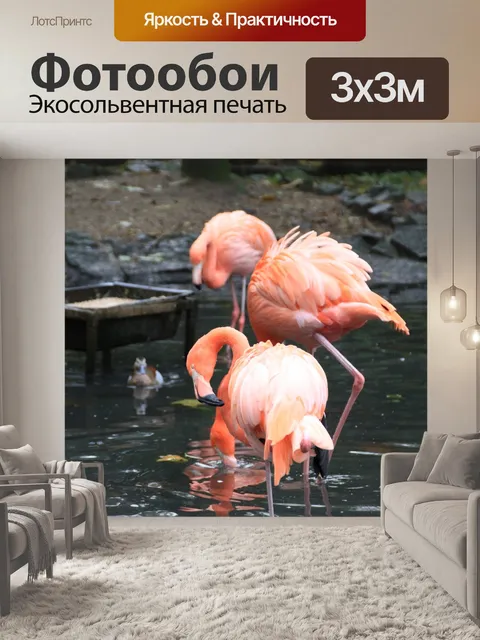 Фотообои Фламинго