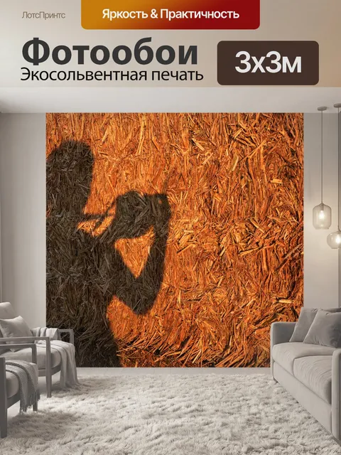 Фотообои Тень