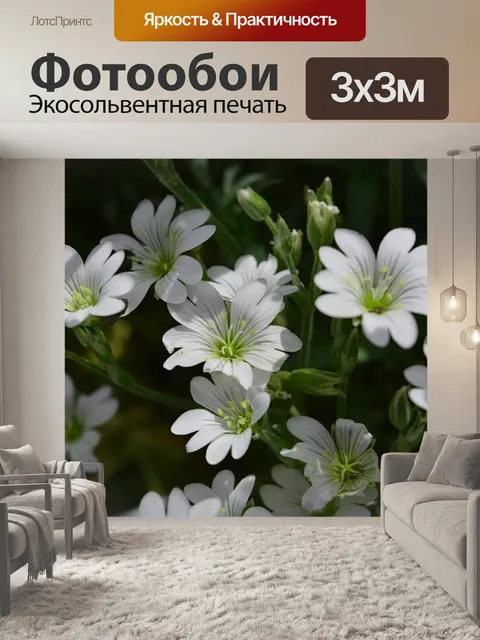 Фотообои Белые цветы