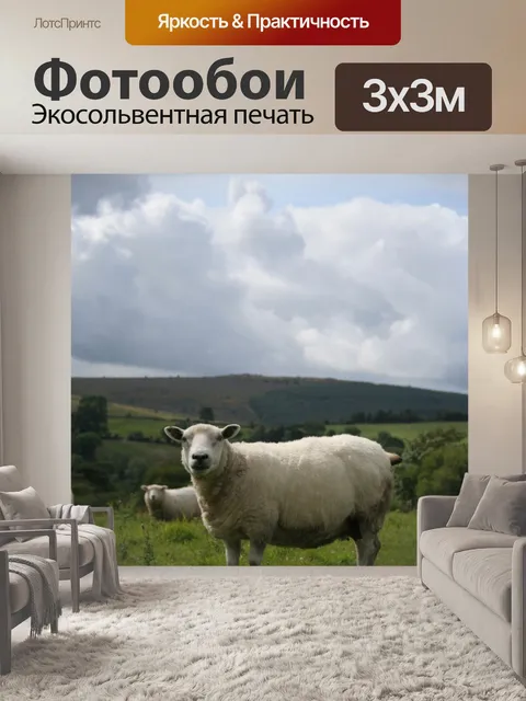Фотообои Овцы в поле с неба