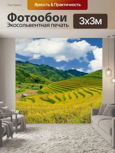 Фотообои Рисовые поля