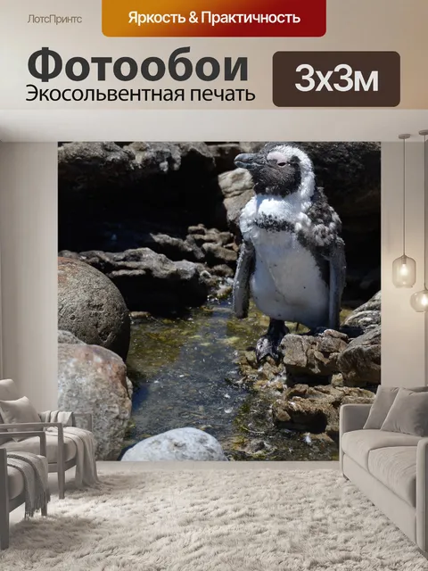 Фотообои Пингвин