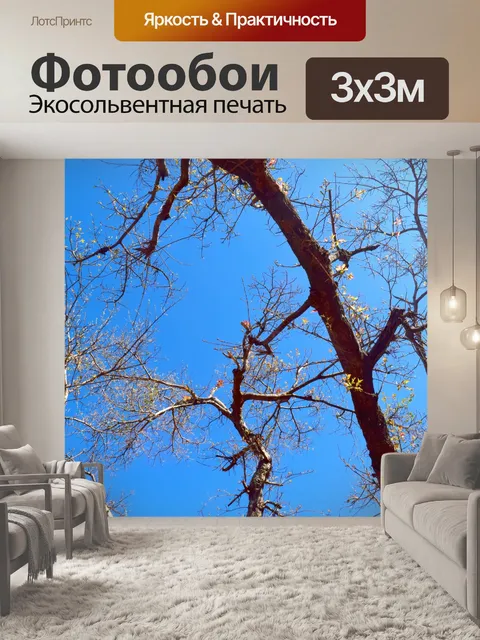 Фотообои Деревья и лес 27