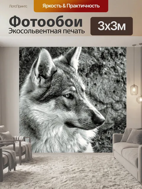 Фотообои Волк