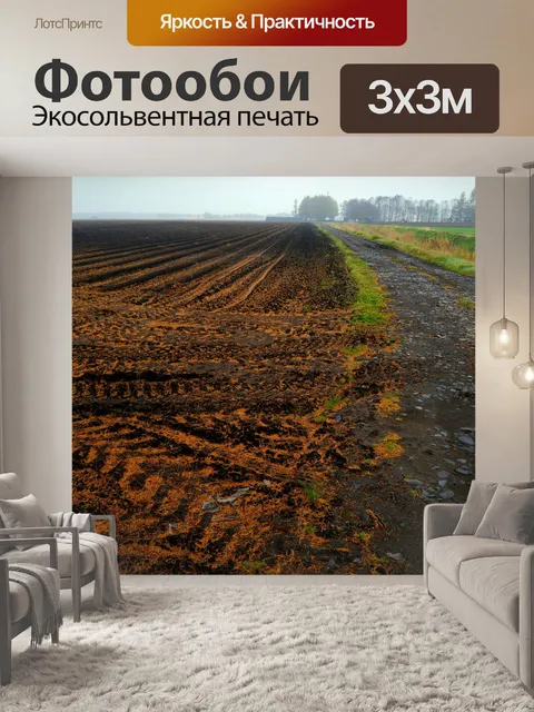 Фотообои Сельскохозяйственная земля