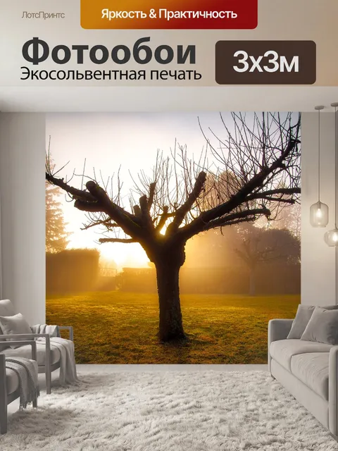 Фотообои Сад