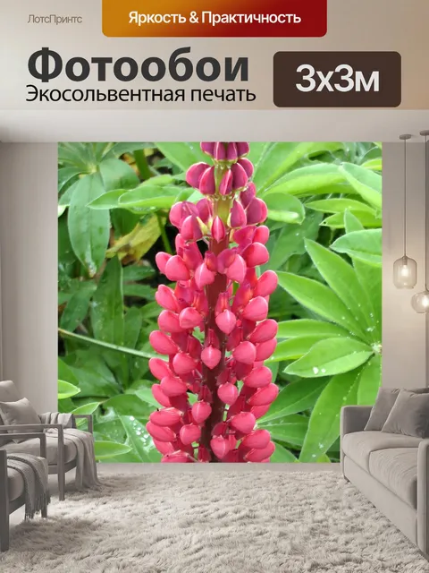 Фотообои Красный Отметил Цветок