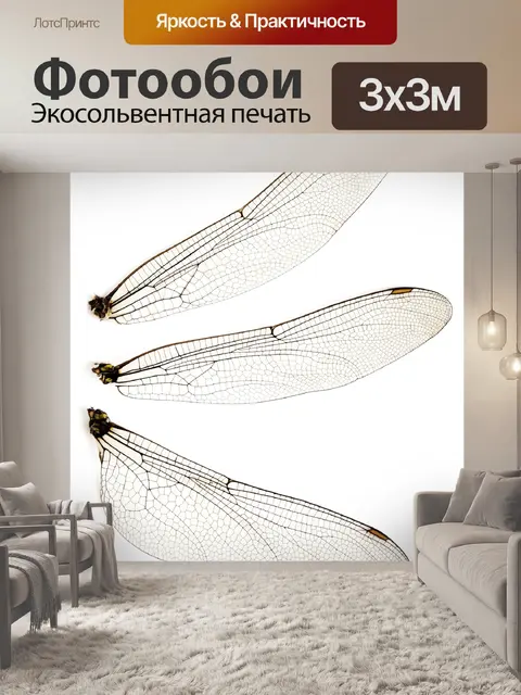 Фотообои стрекоз крылья изолированных