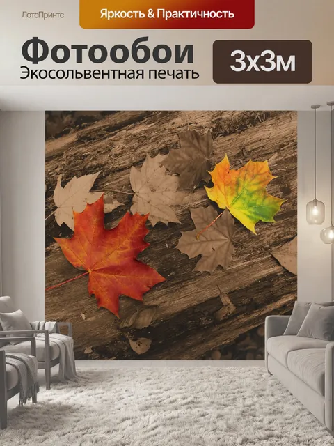 Фотообои Осень