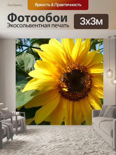 Фотообои Пчела на подсолнечника