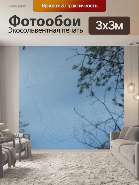 Фотообои Паучья паутина