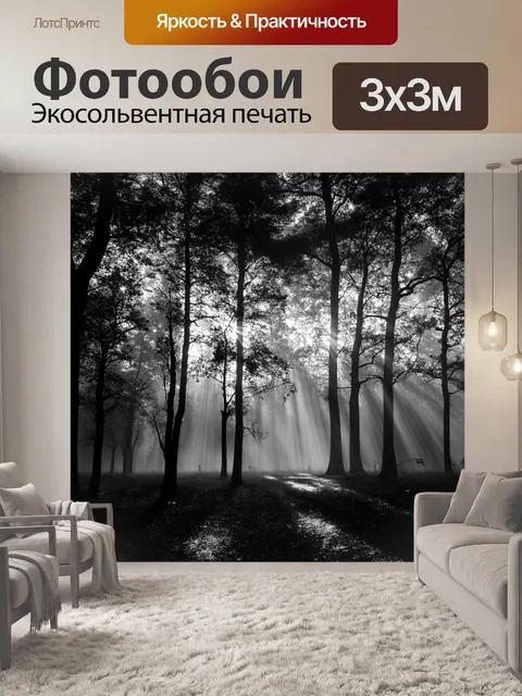 Фотообои черно-белый, на которых изображён утренний лес, окутанный легким туманом