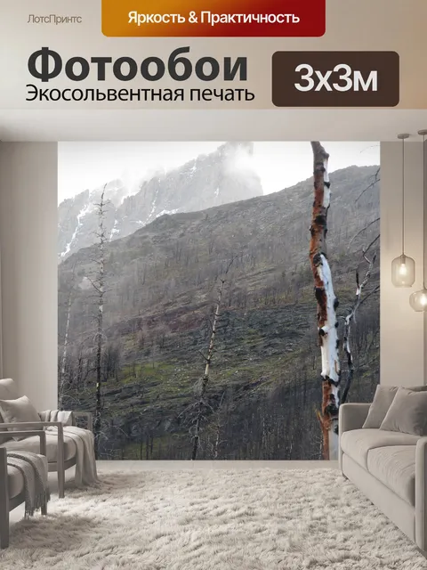 Фотообои Сгоревшее дерево в горах