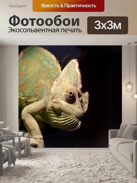 Фотообои Домашние питомцы