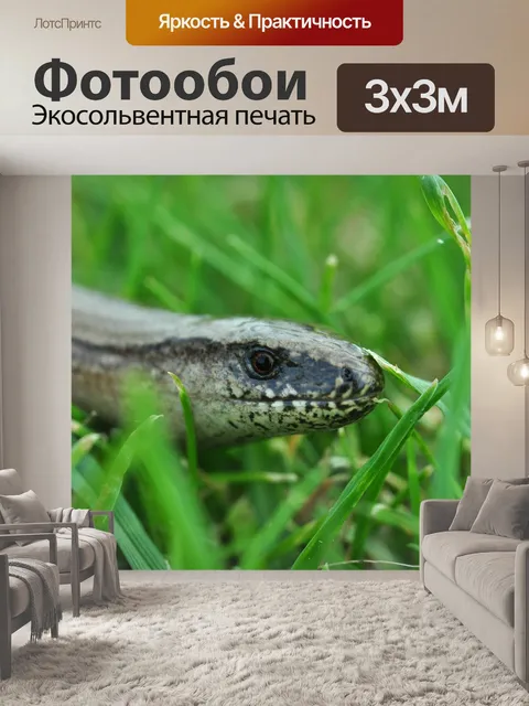 Фотообои Слепой червь