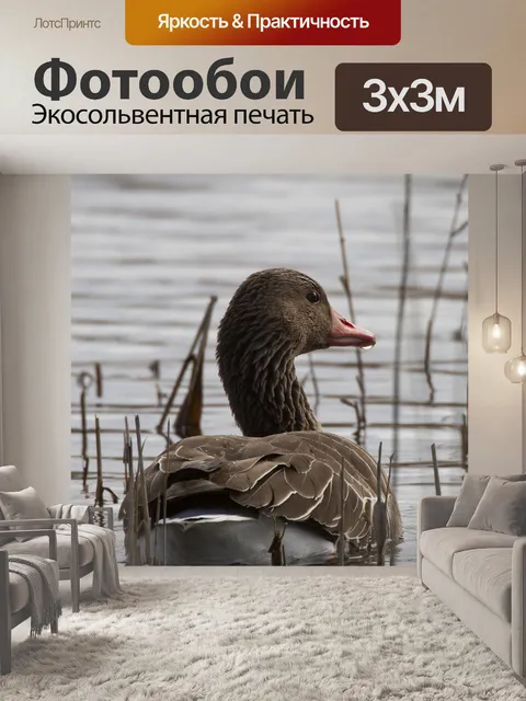 Фотообои Гусь