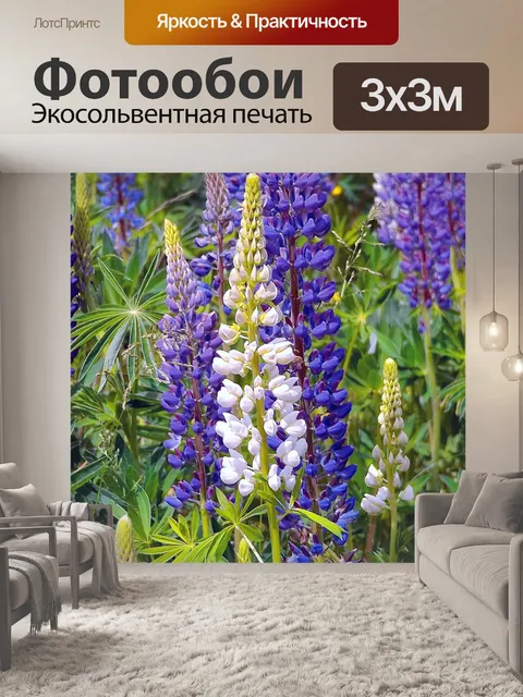 Фотообои Люпины