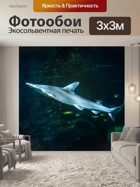 Фотообои акула под водой