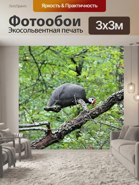 Фотообои Гвинея Петух в дереве