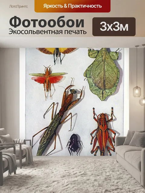 Фотообои насекомые жуки бабочки искусство