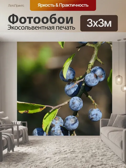 Фотообои Природа