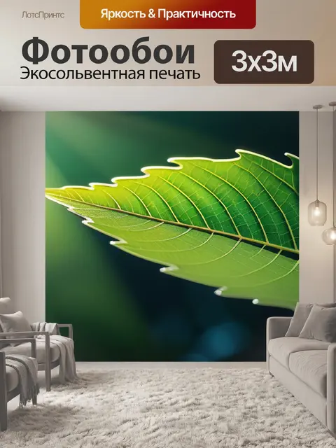 Фотообои пейзаж с листиком вдохновляющий