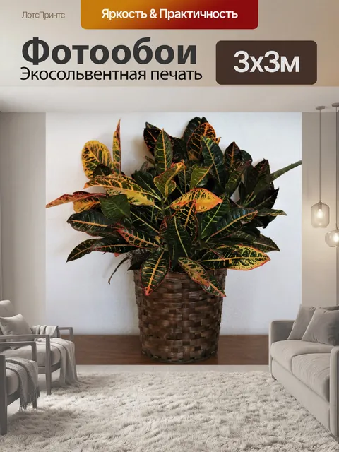 Фотообои Кротон завод
