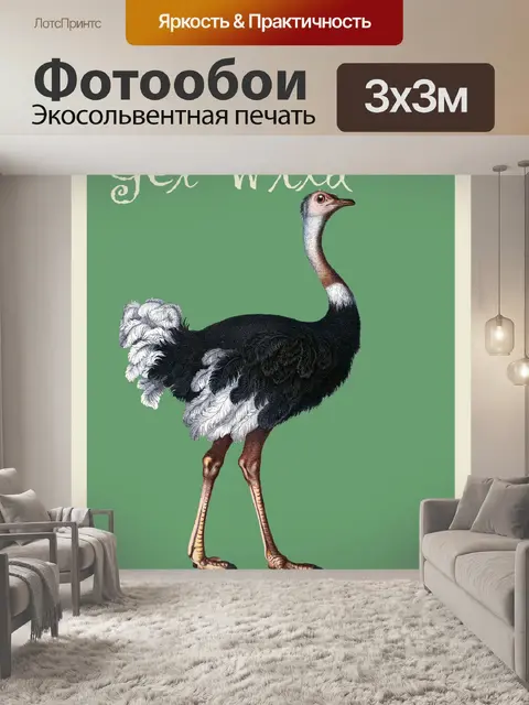 Фотообои Плакат страусиного зоопарка
