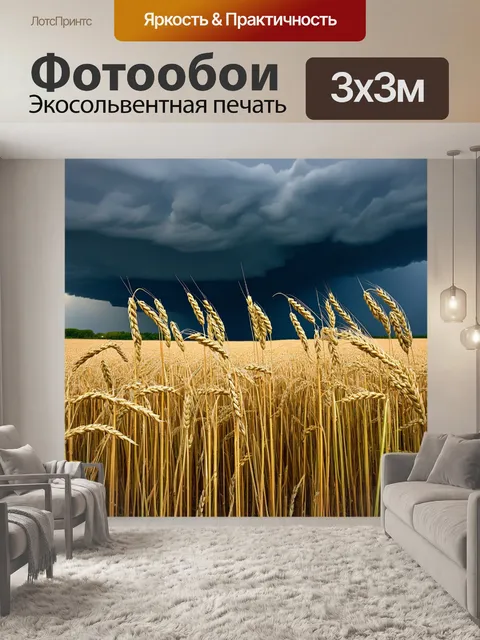 Фотообои поле с высокими стеблями зерновых, колышущимися на фоне надвигающейся грозовой тучи