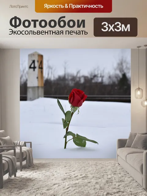 Фотообои Красная роза в снегу