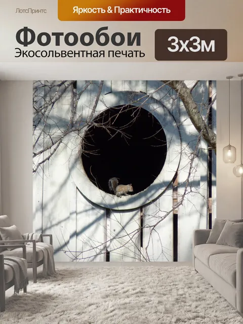 Фотообои Белка в окно