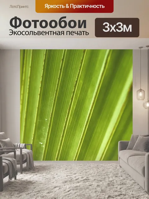 Фотообои Пальма