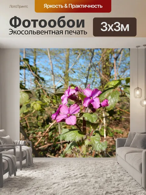 Фотообои Фиолетовая дамочка