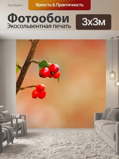 Фотообои Весна красные ягоды