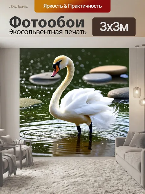 Фотообои лебедь, грациозно шагающий по мелководью, окруженный гладкими камнями, на которых сверкают капли росы